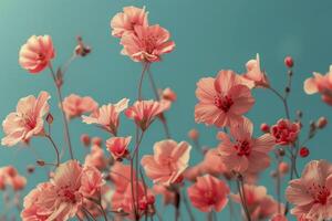 ai genererad en drömmande blommig arrangemang av rosa blommor, full blomma mot en mjuk bakgrund, frammanande en känsla av delikat skönhet och romantisk lugn foto