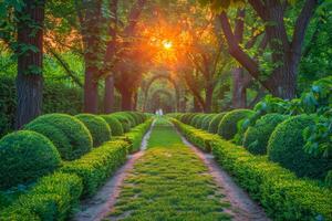 ai genererad de Sol kastar en strålnings glöd på en välskött trädgård väg, skapande ett förtjusande gångväg omfamnade förbi frodig grönska och lugn ljus foto