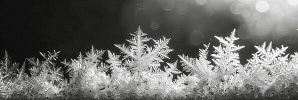 utsökt frost mönster formning naturlig konstverk på glas foto