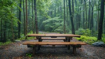 picknick tabell i skog clearing foto