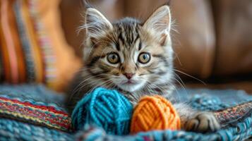 kattunge spelar med garn boll foto