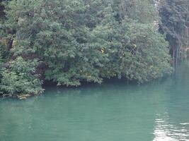 grön flod vatten och träd bakgrund foto