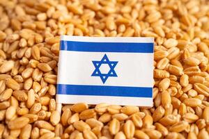 korn vete med Israel flagga, handel exportera och ekonomi begrepp. foto