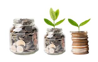 träd plumule blad på spara pengar mynt, affärsfinansiering spara bankinvestering koncept. foto