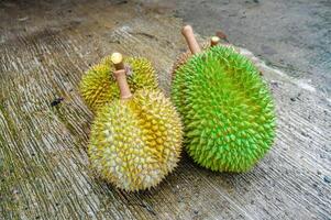 flera små och stor grön durians. indonesiska inföding frukt. foto