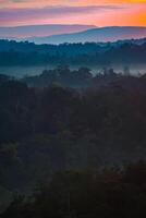 de fantastisk se från en turisternas ståndpunkt som de gå ner en kulle på en dimmig spår med en kulle och en bakgrund av en gyllene himmel i skog parkera, thailand. regnskog. fåglar öga se. antenn se. foto