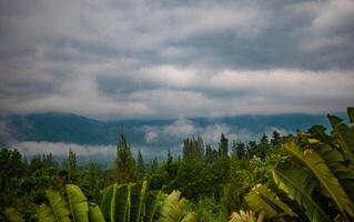 de fantastisk se från en turisternas ståndpunkt som de gå ner en kulle på en dimmig spår med en kulle och en bakgrund av en gyllene himmel i skog parkera, thailand. fåglar öga se. antenn se. foto