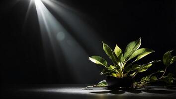 en stråle av solljus lyser på en gul lotus, en blomma, hoppas, på en helt och hållet svart bakgrund foto