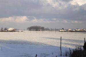 vinter- landskap i de nederländerna foto