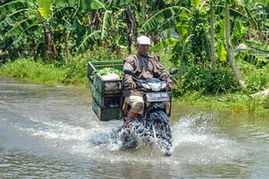 flera fordon sådan som lastbilar, cyklar och bilar var instängd förbi översvämningsvatten i gresik regentskap, Indonesien, 21 februari 2024. foto