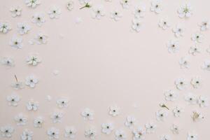 vit pastell vår blomma på Färg bakgrund . körsbär blomma blomma illustration. vår och sommar bakgrund. topp se. foto