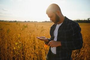 jordbrukare agronom i sojaböna fält kontroll gröda. organisk mat produktion och odling foto