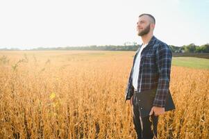 jordbrukare agronom i sojaböna fält kontroll gröda. organisk mat produktion och odling foto