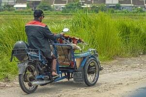 ett gammal man var körning en motorcykel riksha eller bentor genom en skadad väg, Indonesien, 16 januari 2024. foto