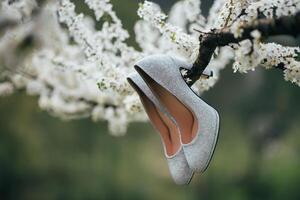 elegant och eleganta brud- skor foto