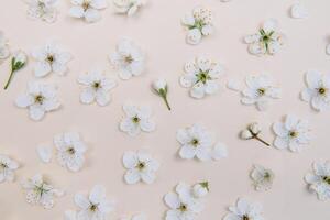 vår natur bakgrund med härlig blomma i gul pastell Färg, topp se, baner. springtime begrepp. foto