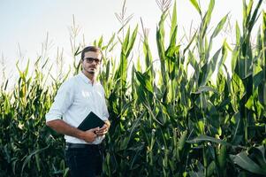 agronom innehar läsplatta Rör vaddera dator i de majs fält och granskning gröda innan skörd. jordbruksnäringen begrepp. jordbruks ingenjör stående i en majs fält med en läsplatta i sommar. foto