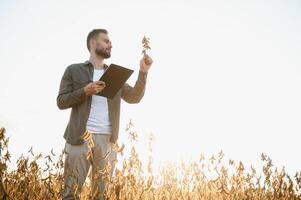 agronom inspekterande soja böna gröda växande i de bruka fält. lantbruk produktion begrepp. ung agronom undersöker sojaböna beskära på fält i sommar. jordbrukare på sojaböna fält. foto