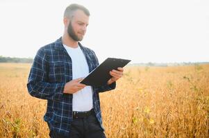 jordbrukare agronom i sojaböna fält kontroll gröda. organisk mat produktion och odling foto