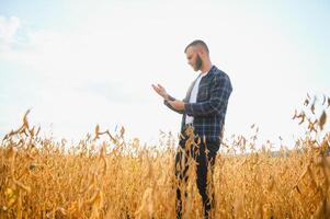 jordbrukare agronom i sojaböna fält kontroll gröda. organisk mat produktion och odling foto