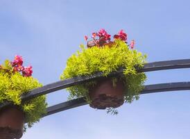 inlagd blommor hängande utomhus. utanför dekor. foto