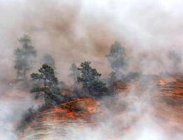 dimmig zion nationell parkera foto