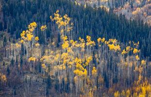 utah falla färger foto