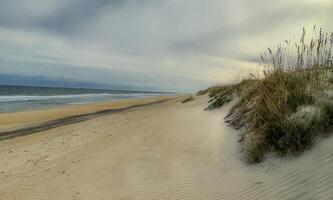 cape hatteras strand foto