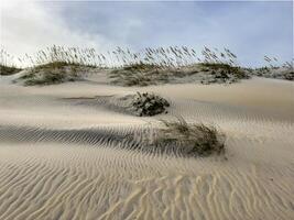 cape hatteras strand foto