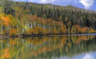 kolob höst reflexion foto