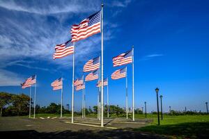 Liberty State Park foto