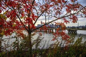 Liberty State Park foto