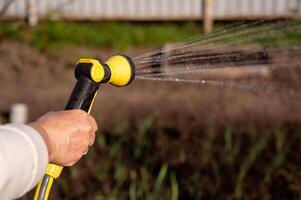 vår vattning av vegetabiliska trädgård från en sprinkler, närbild, selektiv fokus foto