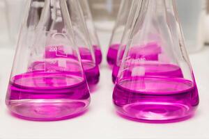 kolvar med flytande färgad rosa. kemisk analys, organisk testa av vatten i de laboratorium foto