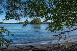 sjö Strand genom de träd foto