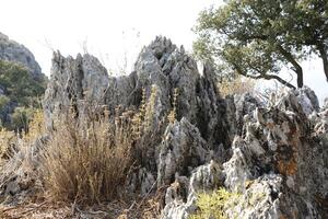 skön natur i de bergen av Dalyan, Kalkon foto