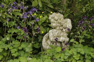 staty i trädgård med akleja blommor foto
