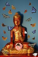 Sammanträde buddha staty med fjärilar foto