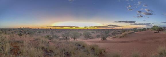 panorama- bild över de namibisk kalahari i de kväll på solnedgång med blå himmel och ljus moln foto