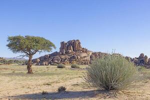 öken- landskap på fisk flod kanjon i namibia med akacia träd och klippig häll under klar blå himmel foto