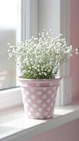 rosa och vit polka punkt blomma pott med bebis andetag blommor foto