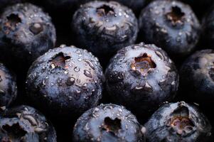 mogen ljuv blåbär. färsk blåbär bakgrund. vegan och vegetarian begrepp. makrotextur av blåbär. textur av blåbär närbild foto