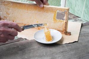 man nedskärningar bikakor från en honung ram med en kniv för äter för te, honung i bikakor är Bra för de hälsa foto