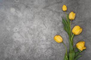 gul tulpaner på grå cement bakgrund minimalism topp se, påsk dekor, vår foto