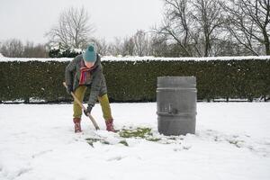 medelålders kvinna är samlar snö i en tunna med en spade, naturlig Resurser foto