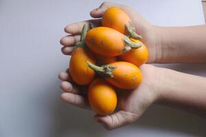 gul äggplanta frukt hölls i hand foto