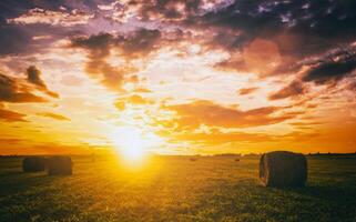 solnedgång i en fält med höstackar på en sommar eller tidigt höst kväll med en molnig himmel i de bakgrund. anskaffning av djur- utfodra i lantbruk. årgång filma estetisk. foto