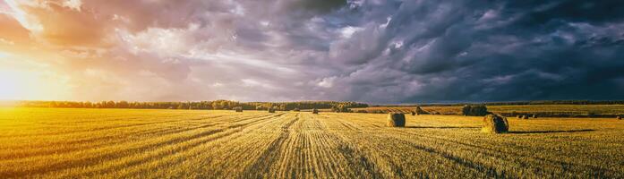 en fält av en höstackar på ett höst dag, upplyst förbi solljus, med regn moln i de himmel. årgång filma estetisk. panorama. foto