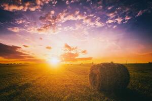 solnedgång i en fält med höstackar på en sommar eller tidigt höst kväll med en molnig himmel i de bakgrund. anskaffning av djur- utfodra i lantbruk. årgång filma estetisk. foto