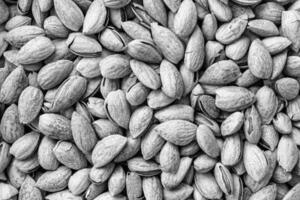 de textur av en högen av mandlar i en skal. bakgrund av friska växt vegan mat. nötter. svart och vit. foto